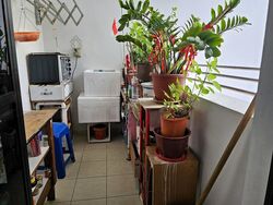 Blk 337A Tah Ching Road (Jurong West), HDB 4 Rooms #508177291